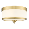 FLEETWOOD brass C03293BR Cosmo Light