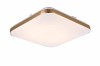 BABILON gold S LP-335/1C S 4GD square Light Prestige