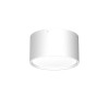 DOWNLIGHT LED white 1366 Luminex